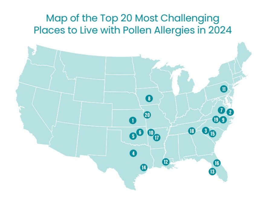 Pollen Allergies