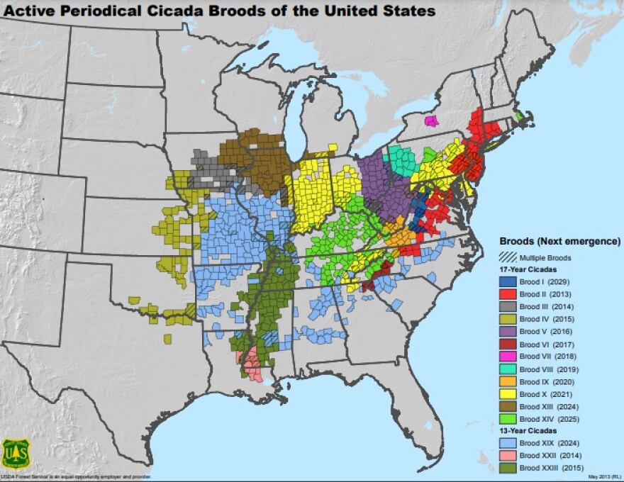 USDA Periodical Cicada map
