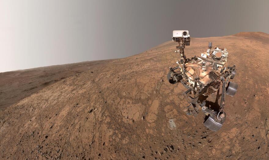 Mars Selfie