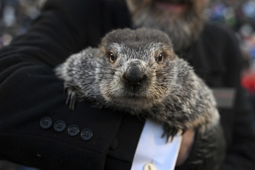 APTOPIX Groundhog Day