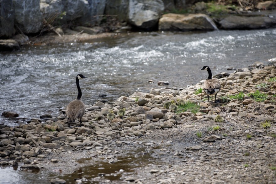 Shapiro Administration Celebrates Earth Day with New Growing Greener Grants