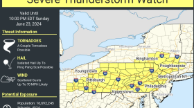 Severe thunderstorm watch for June 23, 2024