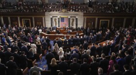 119th Congress at the U.S. Capitol in Washington, D.C.