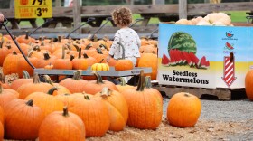 merrymead-farm