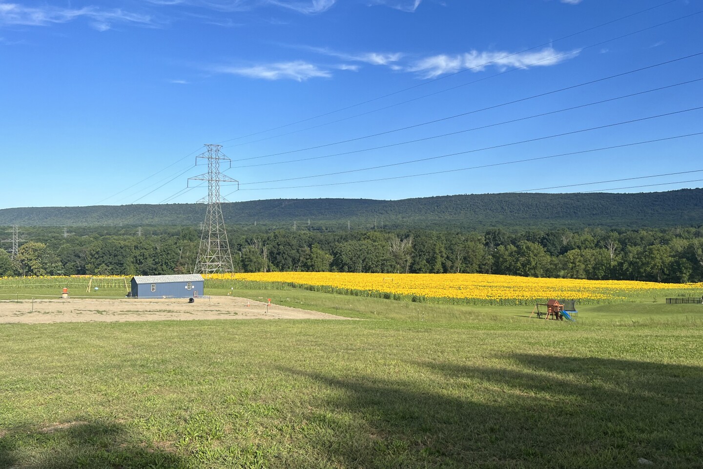 Fox Summit Farm