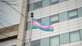 Transgender flag