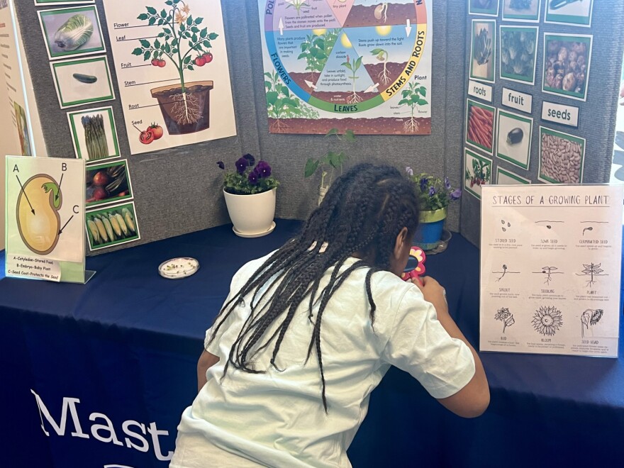 EliBeMyNeighborDay2025.jpg