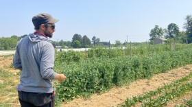 Monocacy Farm Project
