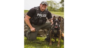 K9 MIKKI.jpg