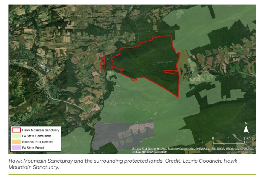 Hawk Mountain - PennEnvironment Report