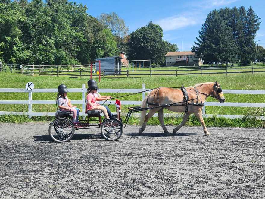 Equine therapy 2.jpg
