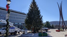 Christmas Tree getting ready for lighting cereony.jpg
