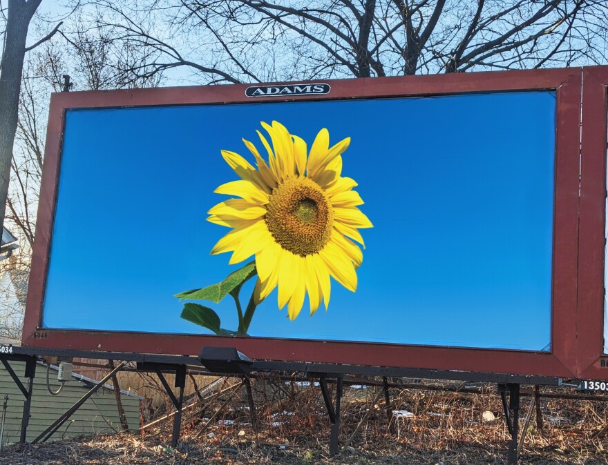 Sunflower-billboard-2
