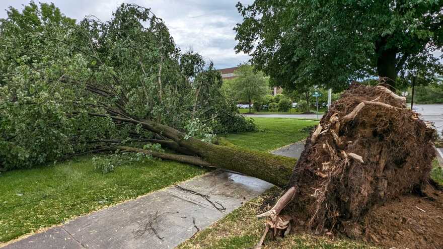 Storm damage