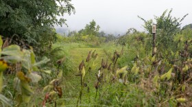 Nature Preserve
