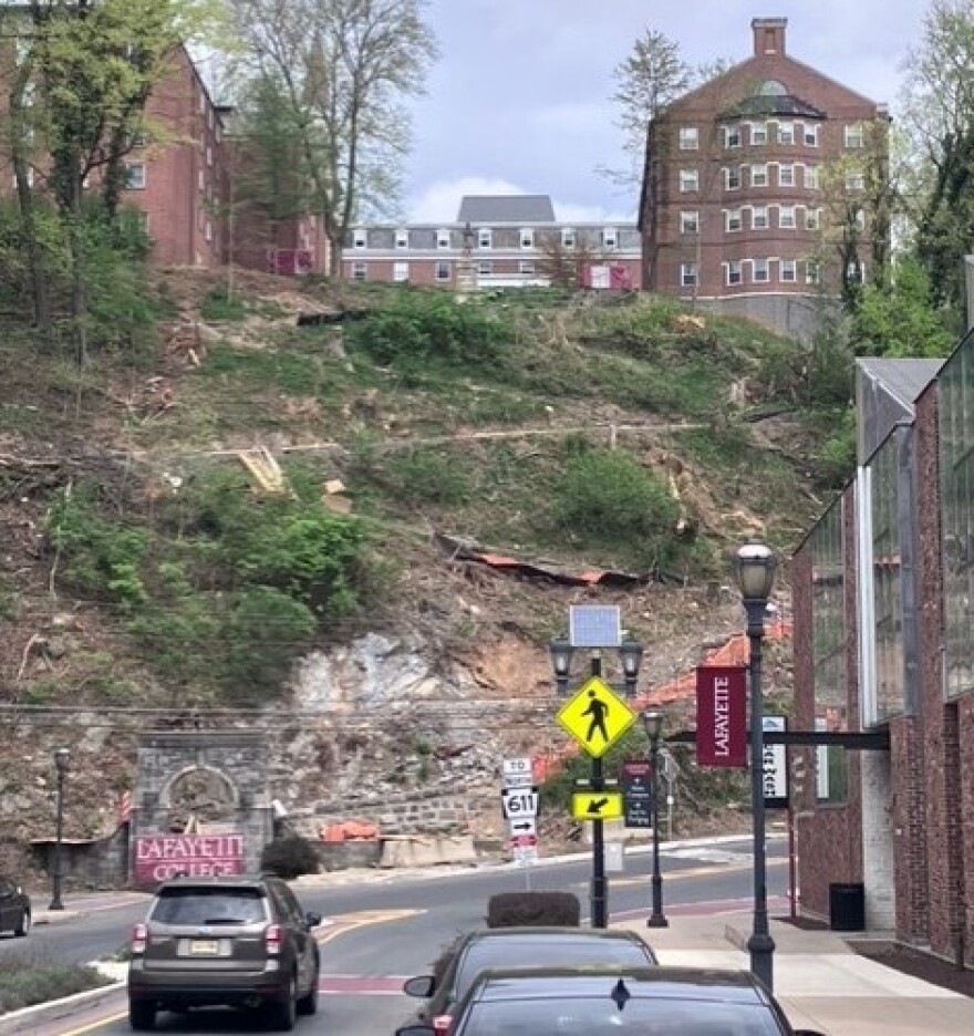 College Hill deforestation concerns