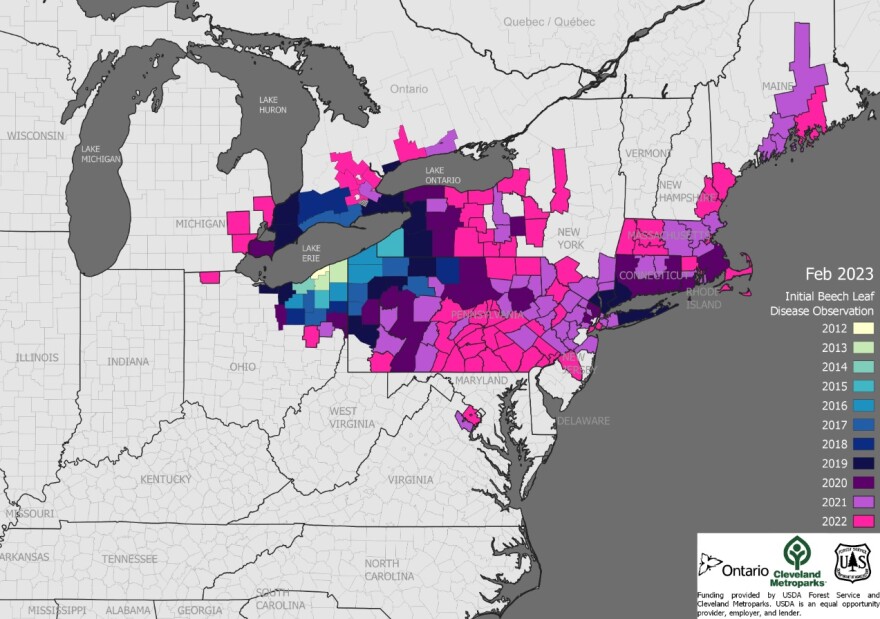 beech leaf disease USDA