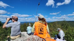 Lehigh Gap Nature Center Hawk Count 2024