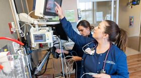 LVHN Nursing