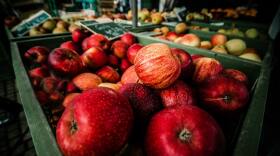 abundance-apples-blur-close-up-349730