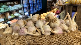 whitegarlic.jpg