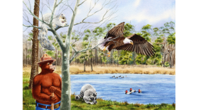 Smokey Bear: Maryland