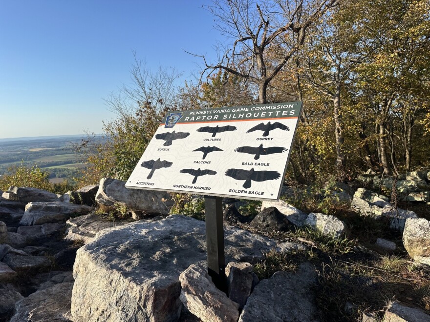 Lehigh Gap Nature Center’s annual autumn Bake Oven Knob Hawk Watch
