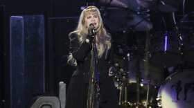 Stevie Nicks