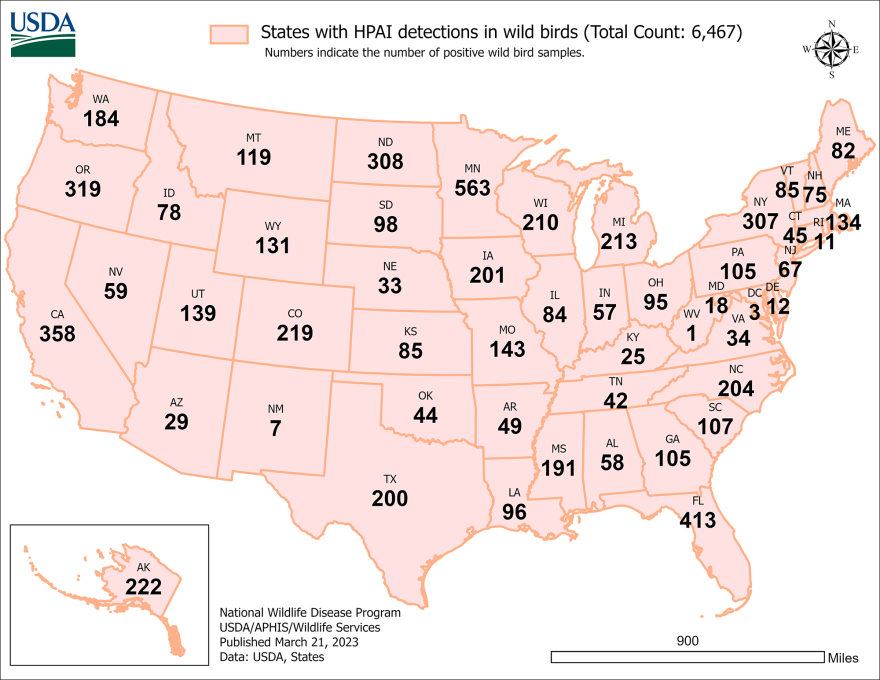 HPAI wild birds map