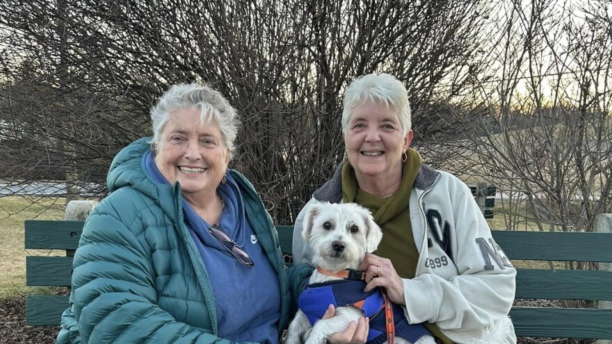 Sancuary Haafsville Minnow1.jpg