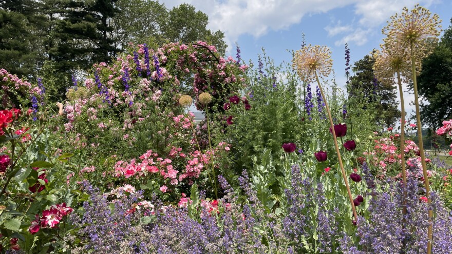 Rose Garden