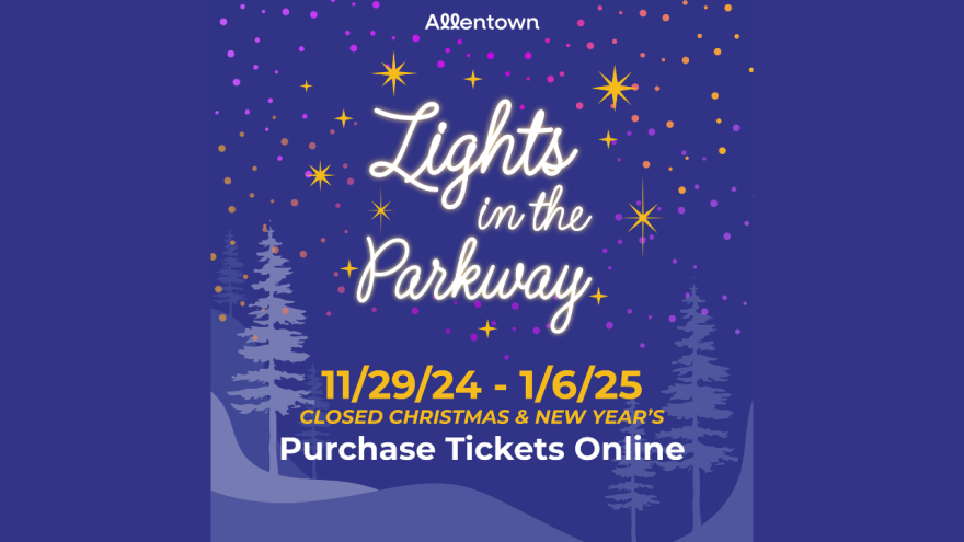 Lights in the Parkway