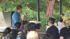 Migration Fests from 2019-2022