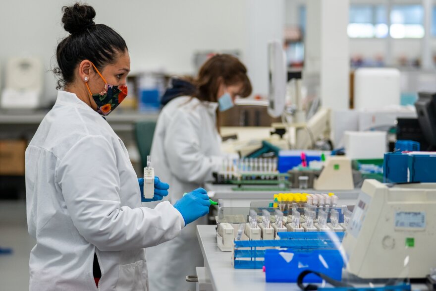 HNL Labs