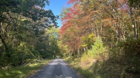 fall foliage 2024 PA DCNR