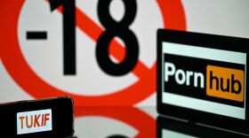 Louisiana's new law, which went into effect Jan. 1, will protect minors from viewing pornography. However, experts argue that the law could come with serious privacy risks.
