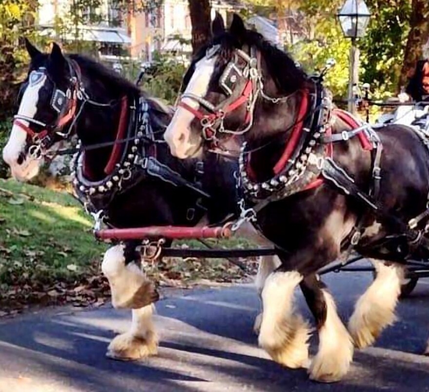 clydesdales-cropped.jpg