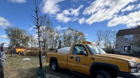 Palmer Twp. Shade Tree Commission