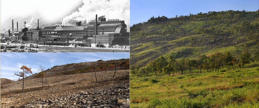 20th anniversary of Lehigh Gap Nature Center