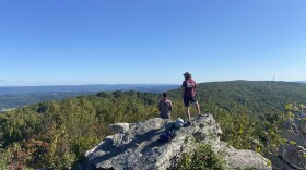 Bake Oven Knob Autumn Hawk Watch