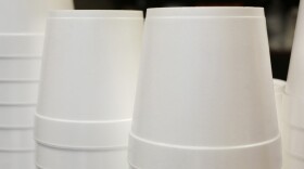 Plastic Foam Containers