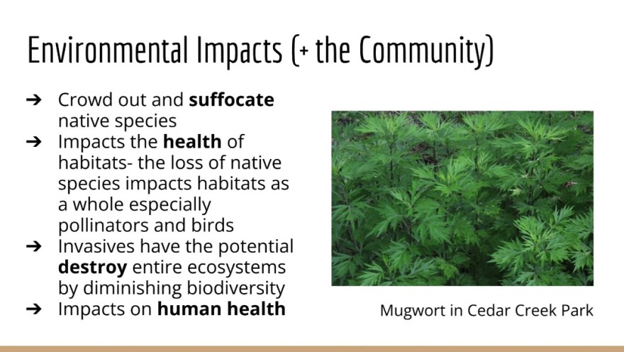 Invasive Plants Allentown EAC presentation