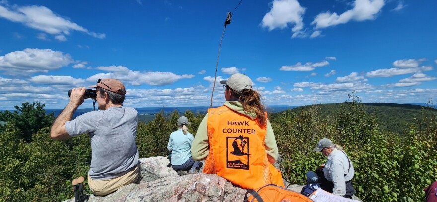 Lehigh Gap Nature Center Hawk Count 2024