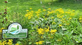 Watershed-Friendly PA program sign