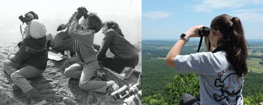 Lehigh Gap Nature Center's Bake Oven Knob Autumn Hawk Watch