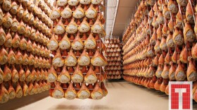 ham_Travaglini.jpg