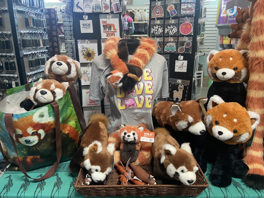 Red Pandas Lehigh Valley Zoo