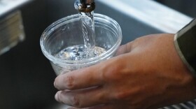 Cup filled with water at faucet