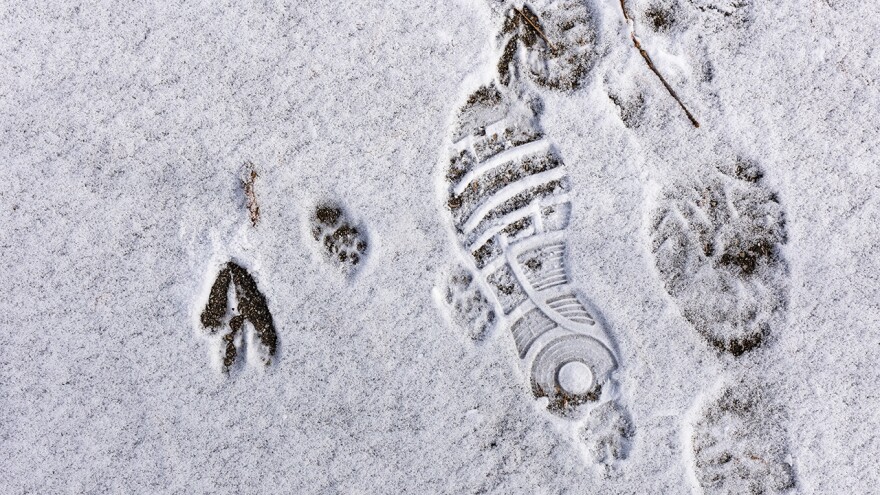 Footprints in shoes