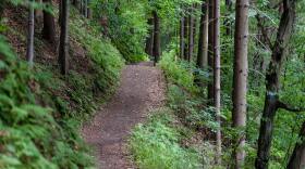 national-park-trail